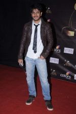 at Golden Petal Awards in Mumbai on 3rd Dec 2012 (115).JPG